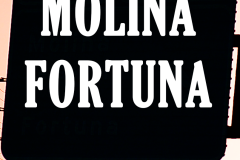 Molina-fortuna